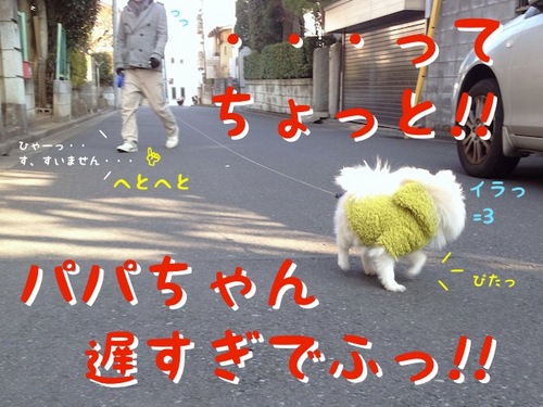 これからドッグカフェ。 -5.JPG