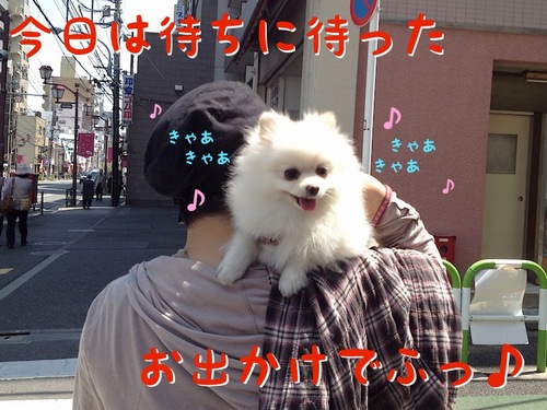 お出かけ(一応誕生日の)-1.JPG