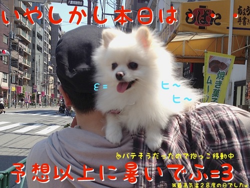 お出かけ(一応誕生日の)-2.JPG