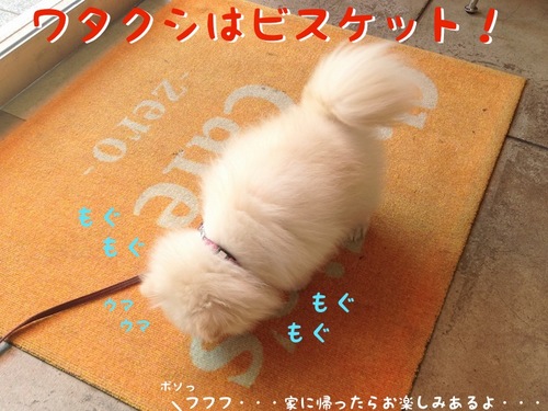 お出かけ(一応誕生日の)-5.JPG