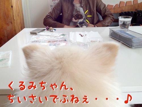 お友達とドッグカフェ その1 -1.JPG