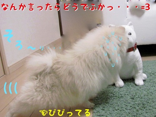 お父さんとの軌跡。 -2.JPG