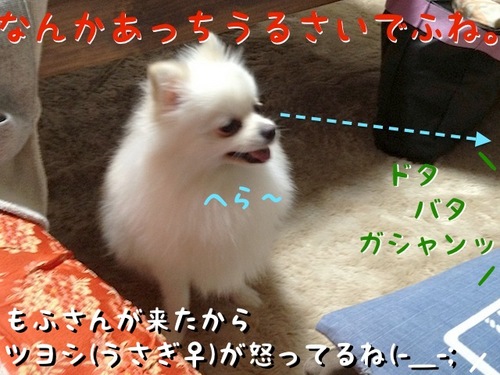 どこに座っていいでふか? -2.JPG