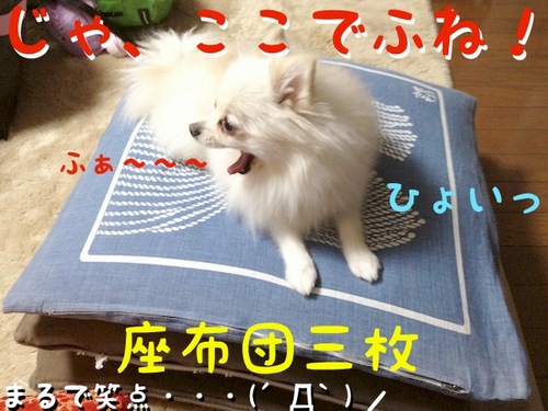 どこに座っていいでふか? -4.JPG
