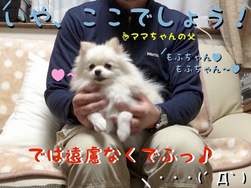 どこに座っていいでふか? -5.jpg