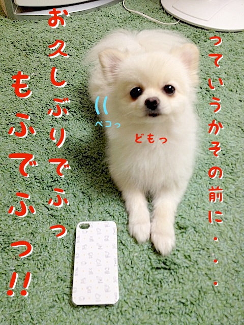 もふラニアンiPhoneケース。-2.jpg
