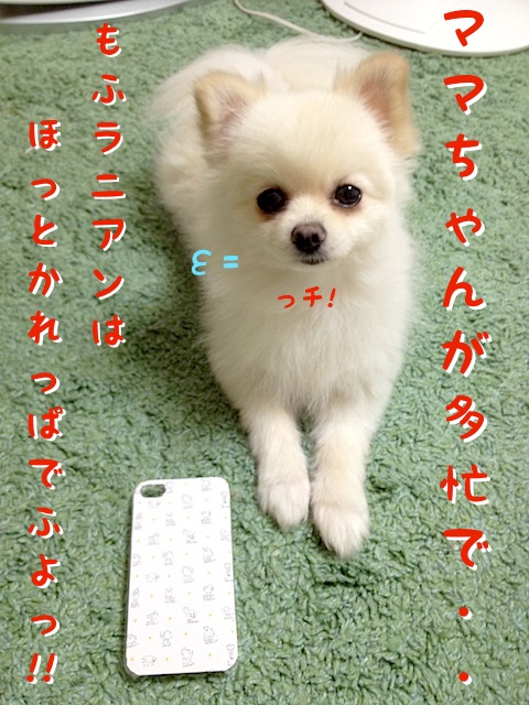 もふラニアンiPhoneケース。-3.jpg