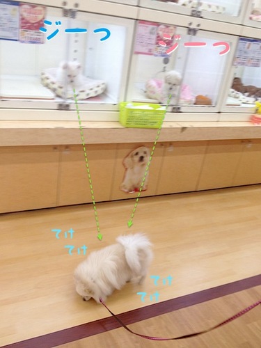 ジーっ。-2.jpg