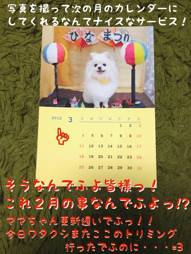 トリミング。その3-5.JPG