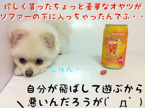 ヤケでふっ=3 -2.JPG