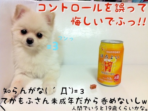 ヤケでふっ=3 -3.JPG
