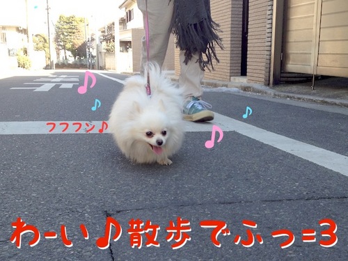 ワタクシはスベらないでふから=3-1.JPG