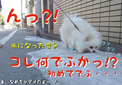 ワタクシはスベらないでふから=3-2.JPG