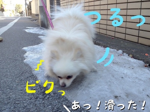 ワタクシはスベらないでふから=3-3.JPG