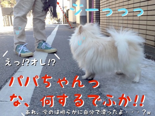 ワタクシはスベらないでふから=3-4.JPG