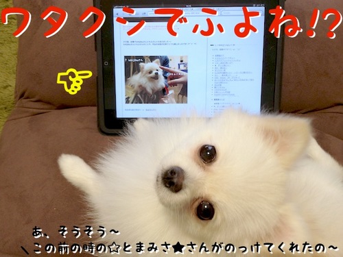 ワタクシふよね!? -3.jpg