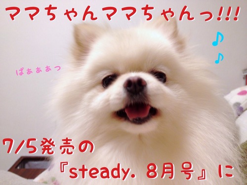 ワタクシめあてで・・・。 -1.JPG