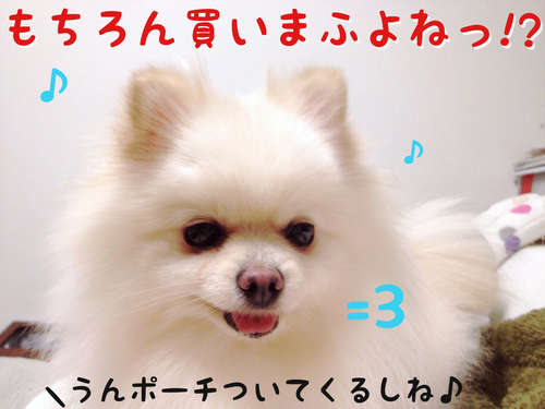 ワタクシめあてで・・・。 -3.JPG