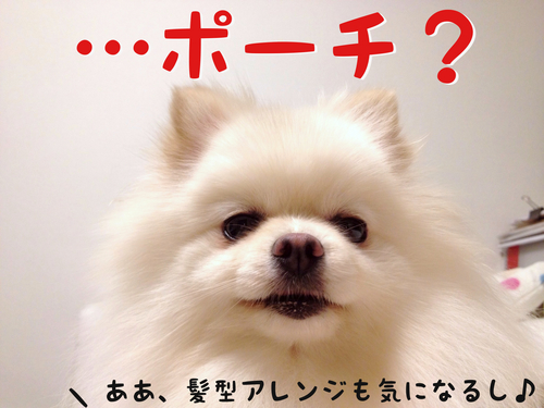ワタクシめあてで・・・。 -4.JPG