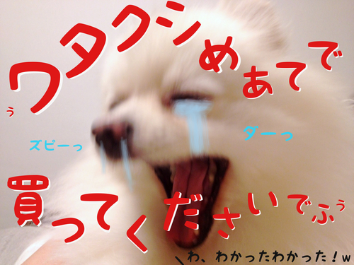ワタクシめあてで・・・。 -6.JPG
