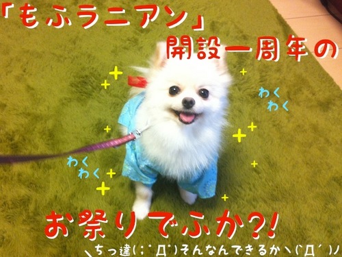 写真 11-07-24 15 17 32.jpeg
