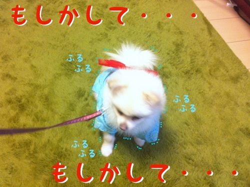 写真 11-07-24 15 17 38.jpeg