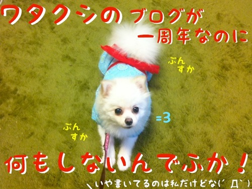 写真 11-07-24 15 18 17.jpeg