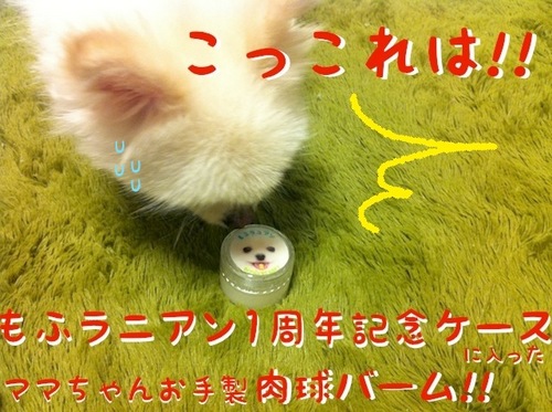 写真 11-07-24 23 23 32.jpeg