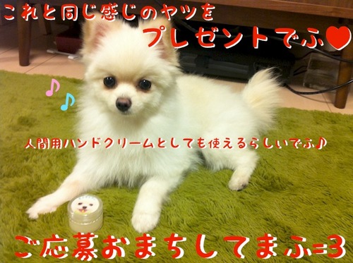 写真 11-07-24 23 24 55.jpeg