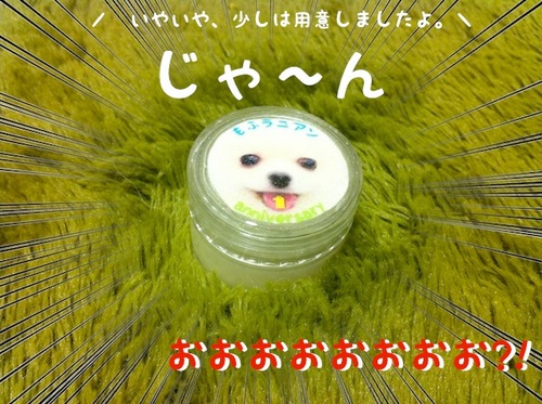 写真 11-07-25 11 35 01.jpeg
