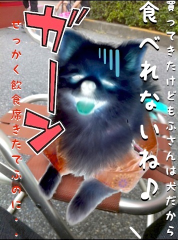 写真 11-07-28 2 02 49.jpeg