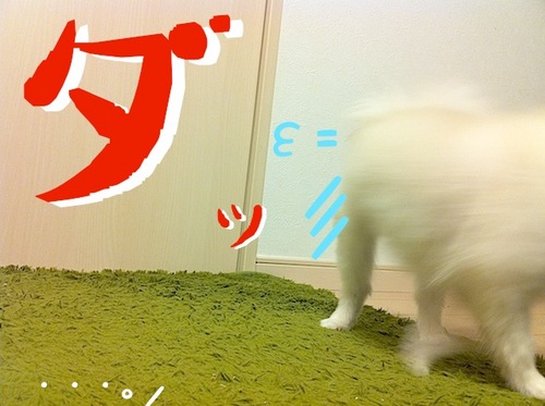 写真 11-08-13 22 58 34.jpeg