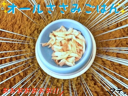 写真 2011-04-23 22 43 35.jpg