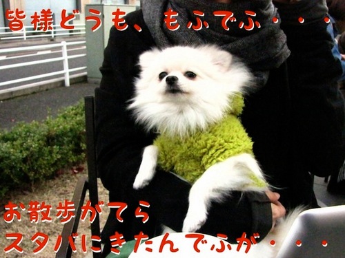 冬のテラス席。 -1.JPG