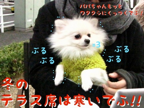 冬のテラス席。 -2.JPG