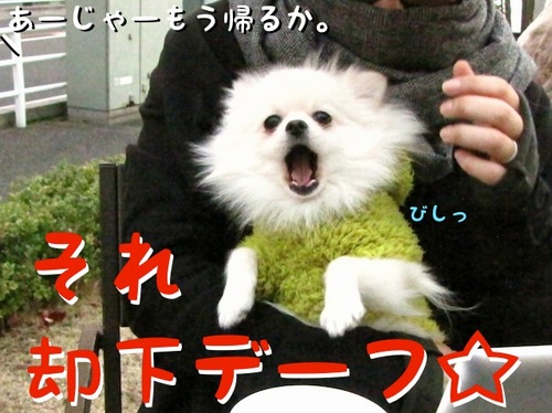 冬のテラス席。 -3.JPG