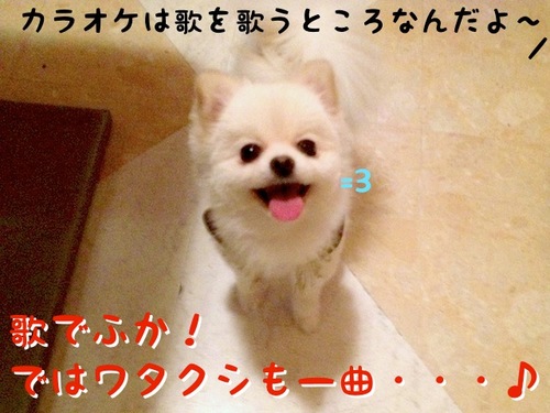 初カラオケでふっ=3 -1.JPG