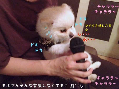 初カラオケでふっ=3 -3.JPG