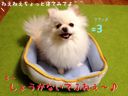 夏用ベッド。 -3.JPG