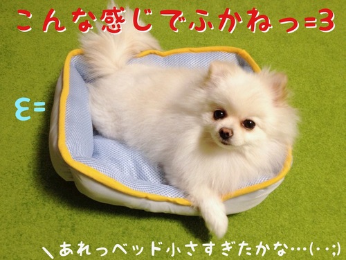 夏用ベッド。 -4.JPG