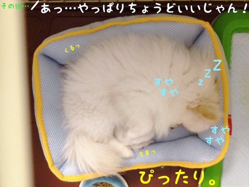 夏用ベッド。 -6.JPG