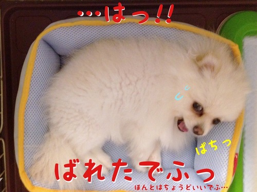 夏用ベッド。 -7.JPG
