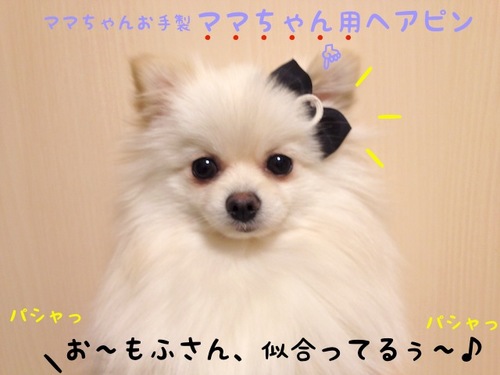 安くない。-1.JPG