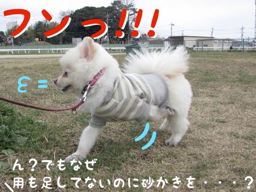 桜には・・・。-6.JPG