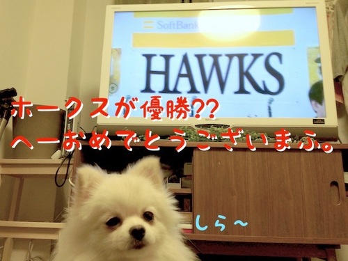 気になるのは・・・ -1.JPG