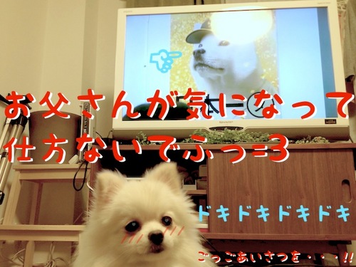 気になるのは・・・ -3.JPG