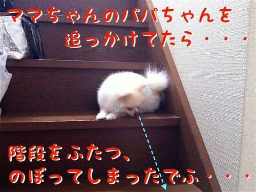 降りれない-1.JPG