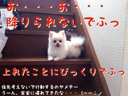 降りれない-2.JPG
