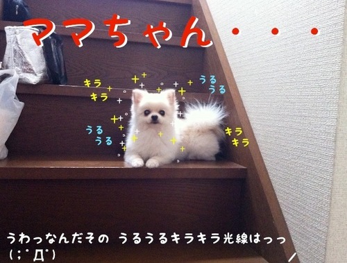 降りれない-3.JPG