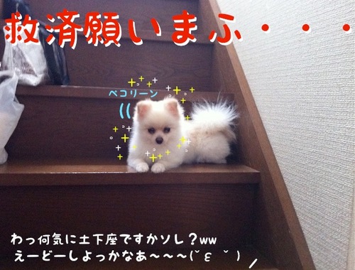 降りれない-4.JPG